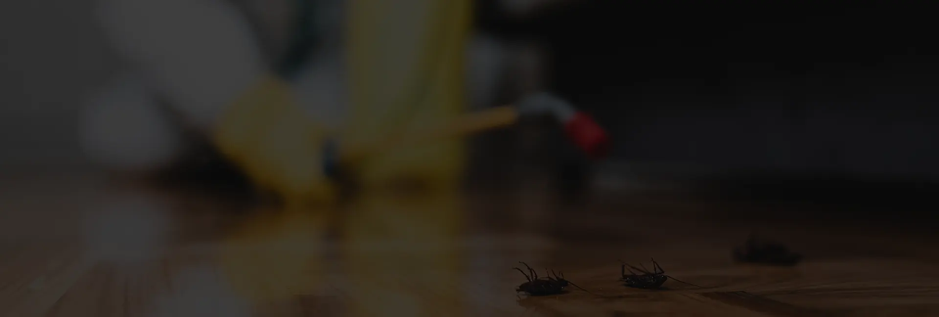 Se debarrasser des nuisibles - Les Pistes