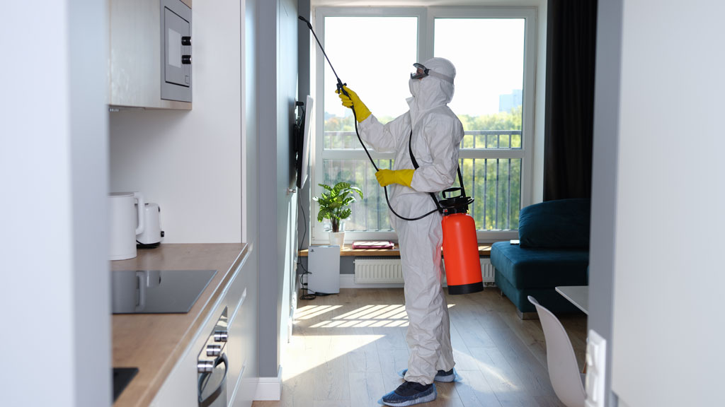 Technicien exterminateur appliquant un traitement professionnel le long d'une plinthe